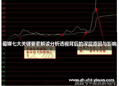 葡媒七大关键要素解读分析透视背后的深层原因与影响